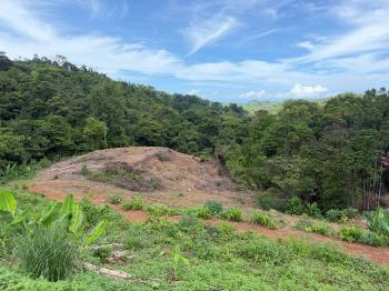 Terreno Para Vivienda en venta en Pavón, Osa, Puntarenas, Costa Rica — foto 3