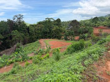 Terreno Para Vivienda en venta en Pavón, Osa, Puntarenas, Costa Rica — foto 4