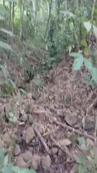 Mixed Use Land for sale in Javillos, Buenos Aires, Puntarenas, Costa Rica — photo 2