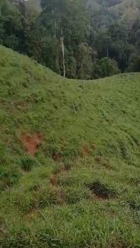 Mixed Use Land for sale in Javillos, Buenos Aires, Puntarenas, Costa Rica — photo 4