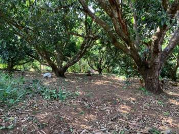 Terreno General en venta en Atenas, Alajuela, Costa Rica — foto 4