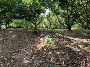 Terreno General en venta en Atenas, Alajuela, Costa Rica — foto 5