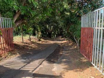 Terreno General en venta en Atenas, Alajuela, Costa Rica — foto 6