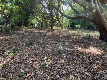 Terreno General en venta en Atenas, Alajuela, Costa Rica — foto 7