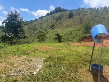 Fincas Uso Mixto en venta en La Soledad, Acosta, San José, Costa Rica — foto 2