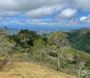 Fincas Uso Mixto en venta en La Soledad, Acosta, San José, Costa Rica — foto 6
