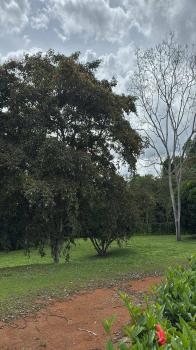 Lotes en Venta Barrio Palmares