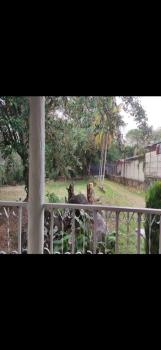 Single Story for sale in El Coyol, Alajuela, Costa Rica — photo 5