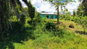 Residential Lot for sale in Las Mercedes de Cajón, Pérez Zeledón, San José, Costa Rica — photo 2