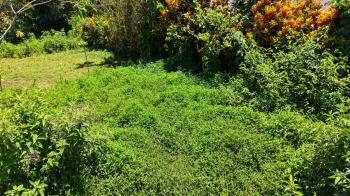 Residential Lot for sale in Las Mercedes de Cajón, Pérez Zeledón, San José, Costa Rica — photo 3