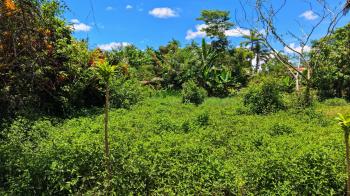 Residential Lot for sale in Las Mercedes de Cajón, Pérez Zeledón, San José, Costa Rica — photo 4