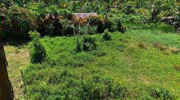 Residential Lot for sale in Las Mercedes de Cajón, Pérez Zeledón, San José, Costa Rica — photo 7
