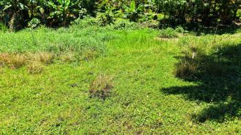 Residential Lot for sale in Cajón, Pérez Zeledón, San José, Costa Rica — photo 2