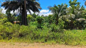 Residential Lot for sale in Cajón, Pérez Zeledón, San José, Costa Rica — photo 3
