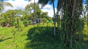 Residential Lot for sale in Cajón, Pérez Zeledón, San José, Costa Rica — photo 4