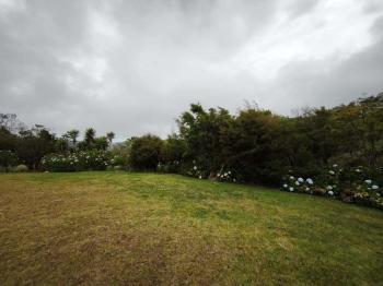 Vendo Bella Finca en San Ramón, Alajuela
