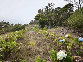 Fincas Uso Mixto en venta en Zapotal, San Ramón, Alajuela, Costa Rica — foto 2
