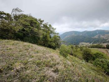Fincas Uso Mixto en venta en Zapotal, San Ramón, Alajuela, Costa Rica — foto 4