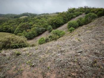 Fincas Uso Mixto en venta en Zapotal, San Ramón, Alajuela, Costa Rica — foto 7