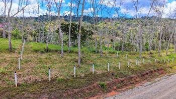 Terreno General en venta en Santa Rosa, Pérez Zeledón, San José, Costa Rica — foto 2
