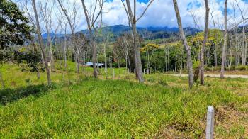 Terreno General en venta en Santa Rosa, Pérez Zeledón, San José, Costa Rica — foto 5