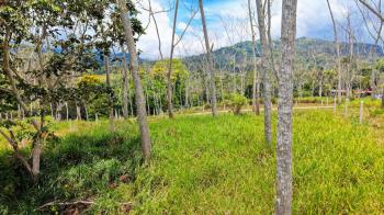 Terreno General en venta en Santa Rosa, Pérez Zeledón, San José, Costa Rica — foto 7