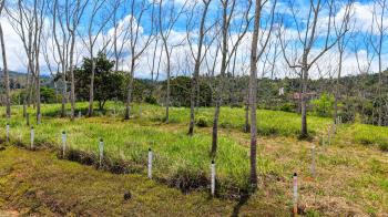 Terreno Para Vivienda en venta en Santa Rosa, Pérez Zeledón, San José, Costa Rica — foto 1