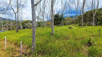 Terreno Para Vivienda en venta en Santa Rosa, Pérez Zeledón, San José, Costa Rica — foto 3