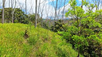 Terreno Para Vivienda en venta en Santa Rosa, Pérez Zeledón, San José, Costa Rica — foto 5