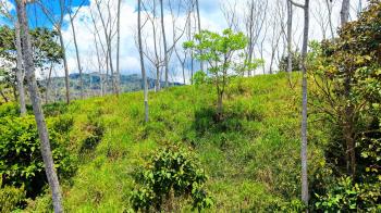 Terreno Para Vivienda en venta en Santa Rosa, Pérez Zeledón, San José, Costa Rica — foto 7