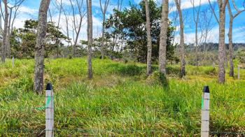 Terreno General en venta en Santa Rosa, Pérez Zeledón, San José, Costa Rica — foto 1