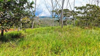 Terreno General en venta en Santa Rosa, Pérez Zeledón, San José, Costa Rica — foto 3