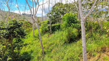Terreno General en venta en Santa Rosa, Pérez Zeledón, San José, Costa Rica — foto 4