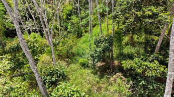 Terreno General en venta en Santa Rosa, Pérez Zeledón, San José, Costa Rica — foto 5