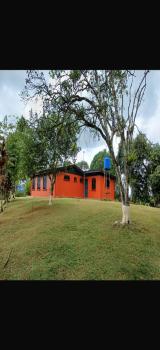 Terreno Comercial en venta en La Fortuna De San Pedro, Pérez Zeledón, San José, Costa Rica — foto 11
