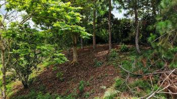 Terreno General en venta en Calle Matasanos, San Rafael Norte, Pérez Zeledón, San José, Costa Rica — foto 2