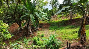 Terreno General en venta en Calle Matasanos, San Rafael Norte, Pérez Zeledón, San José, Costa Rica — foto 3
