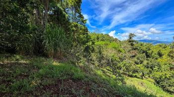 Venta de Lote Con Naciente Propia en San Rafael Norte, Perez Zeledon