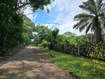 Terreno Comercial en venta en Puerto Jiménez, Puntarenas, Costa Rica — foto 3
