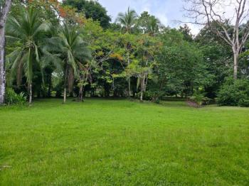 Terreno Comercial en venta en Puerto Jiménez, Puntarenas, Costa Rica — foto 5