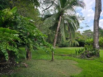 Terreno Comercial en venta en Puerto Jiménez, Puntarenas, Costa Rica — foto 6