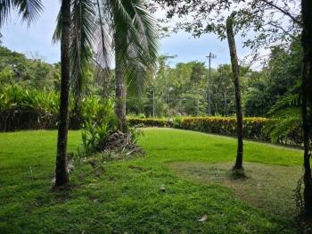 Terreno Comercial en venta en Puerto Jiménez, Puntarenas, Costa Rica — foto 9