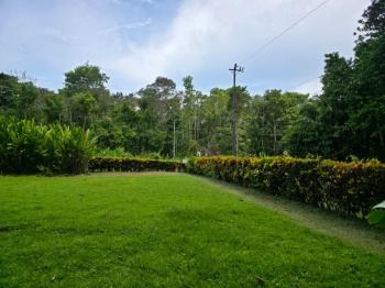 Terreno Comercial en venta en Puerto Jiménez, Puntarenas, Costa Rica — foto 10