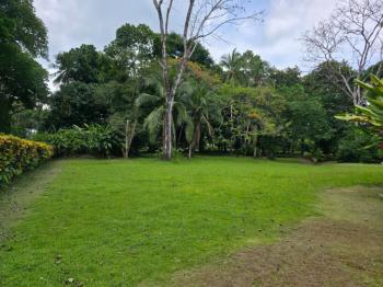 Terreno Comercial en venta en Puerto Jiménez, Puntarenas, Costa Rica — foto 12