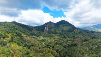 Residential Lot for sale in Quebradas, Pérez Zeledón, San José, Costa Rica — photo 5