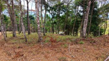 Terreno Para Vivienda en venta en Quebradas, Pérez Zeledón, San José, Costa Rica — foto 3