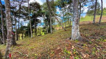 Terreno Para Vivienda en venta en Quebradas, Pérez Zeledón, San José, Costa Rica — foto 4