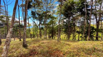 Terreno Para Vivienda en venta en Quebradas, Pérez Zeledón, San José, Costa Rica — foto 5