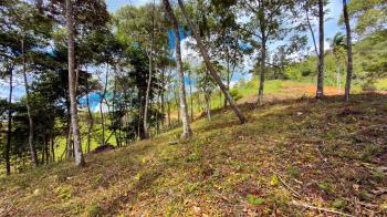 Terreno Para Vivienda en venta en Quebradas, Pérez Zeledón, San José, Costa Rica — foto 6