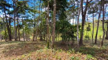 Terreno Para Vivienda en venta en Quebradas, Pérez Zeledón, San José, Costa Rica — foto 7